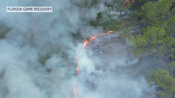 Crews battle more than a dozen fires across Tampa Bay area in the last several days