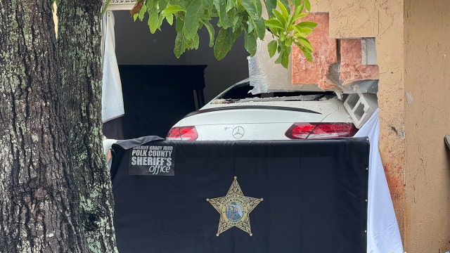 Grady Judd: Driver fatally shot before slamming into Lakeland home, killing man passing by on electric bicycle