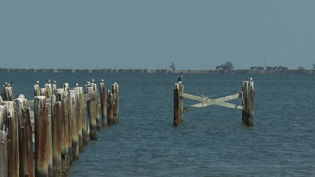 Safety Harbor Pier rebuild moving forward. Here's the timeline for construction