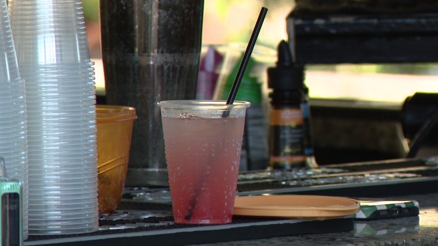 Tampa police arrest more than 50 in crackdown on fake IDs in Soho, Ybor districts