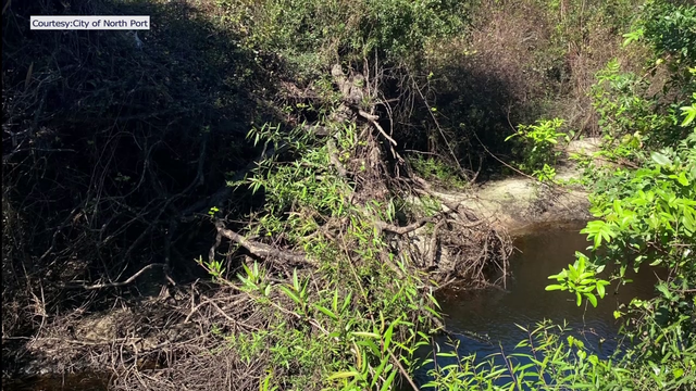 Myakkahatchee Creek clearing could bring some relief from potential flooding in North Port