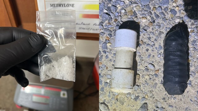 Florida man with cardboard license tag arrested after 2 pipe bombs, drugs discovered in vehicle: WCSO