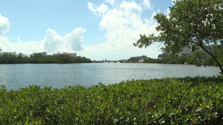 Members of the Stevenson Creek Advocacy Group say recent restoration would be erased if a developer is allowed to build a 9-slip boat dock.