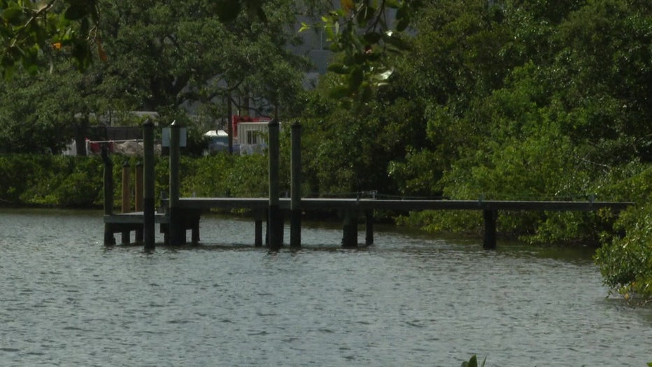 Members of the Stevenson Creek Advocacy Group say recent restoration would be erased if a developer is allowed to build a 9-slip boat dock.