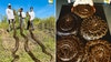 Florida organization sets record for Burmese python captures during latest season