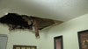Tampa woman's roof caves in over bed after storm: 'Two or three more seconds, it would have hit me'