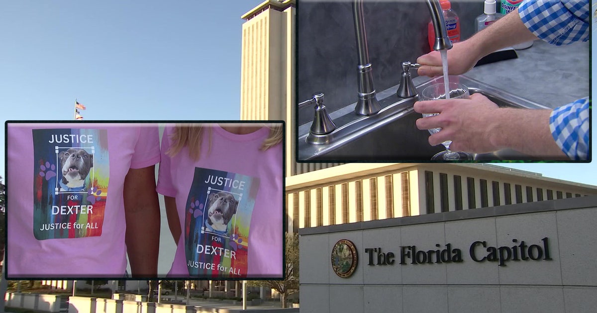 Over 100 New Florida Laws Take Effect Tuesday — Here’s What to Know ...