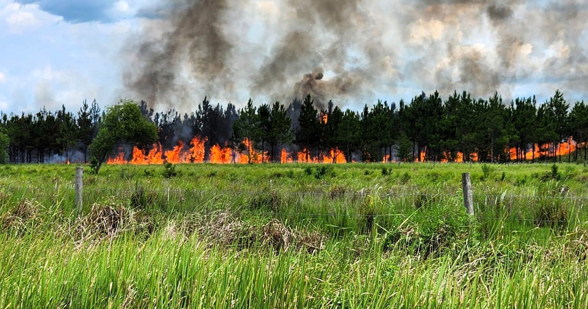 100-acre brush fire sparks after controlled burn gets out of control in ...