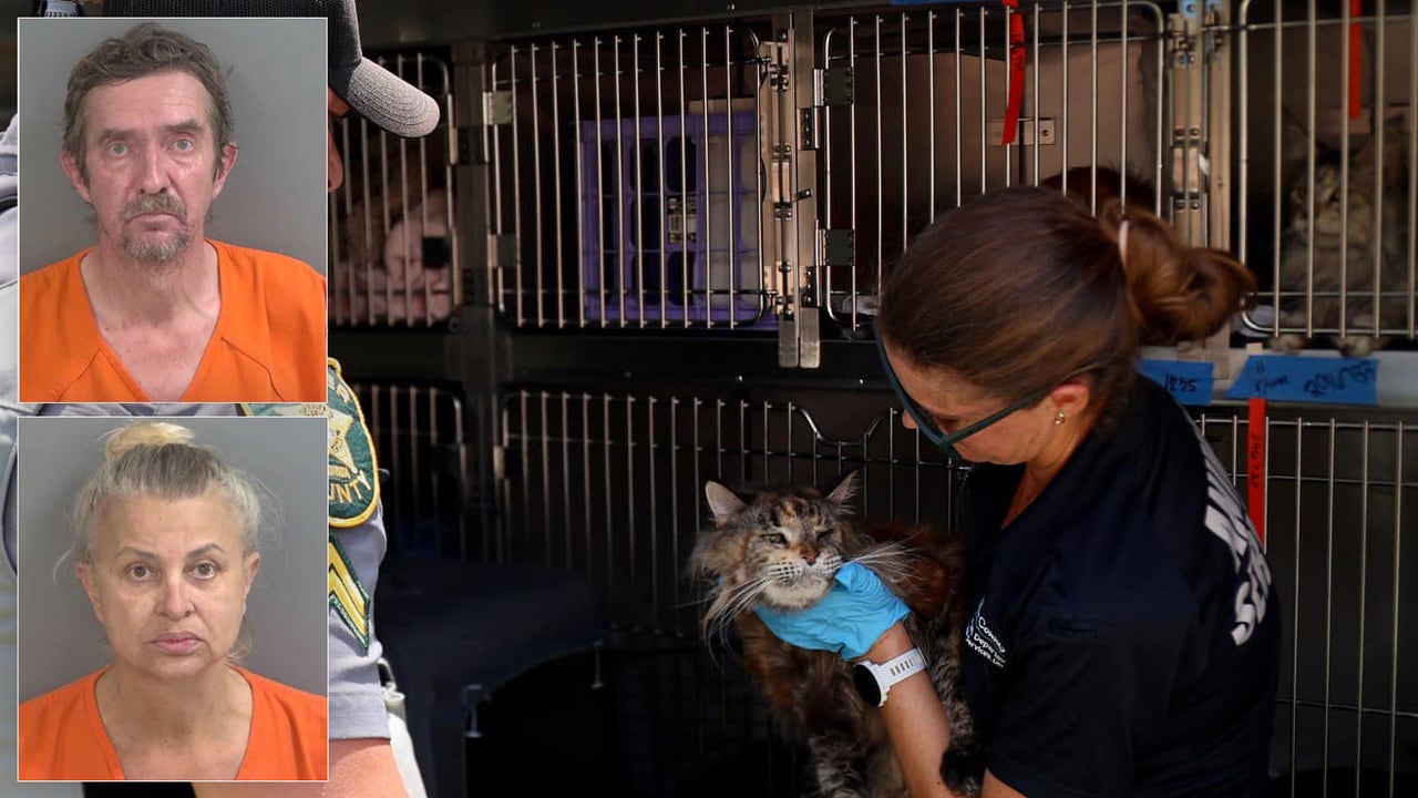 Florida couple accused of animal abuse stored dead cats in hoarder