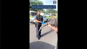 Video: Largo officer jumps, squeals during first gator encounter