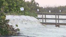 Pinellas County leaders push for homeowners to sign off on beach renourishment plan in series of meetings