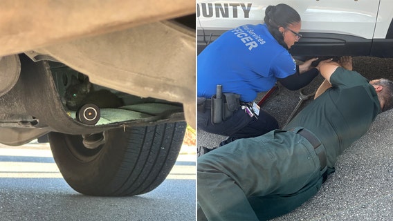 Florida deputies help rescue kitten found under patrol vehicle