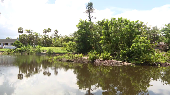 Sarasota County gets green light to dredge Phillippi Creek