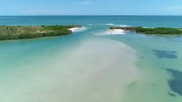 Beach scholarships encourage the next generation of conservationist