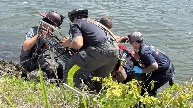 Blind man rescued from water’s edge in Venice after getting stuck: VFR