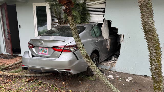 St. Pete woman drives into home, injuring dog inside: FHP