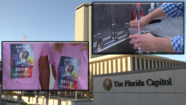 Over 100 New Florida Laws Take Effect Tuesday — Here’s What to Know