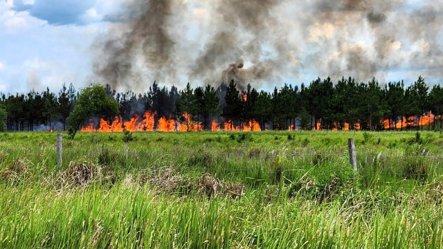 100-acre brush fire sparks after controlled burn gets out of control in Plant City