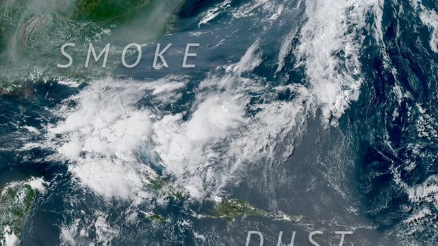 Saharan dust muddies Florida skies before eyeing Gulf Coast, Texas