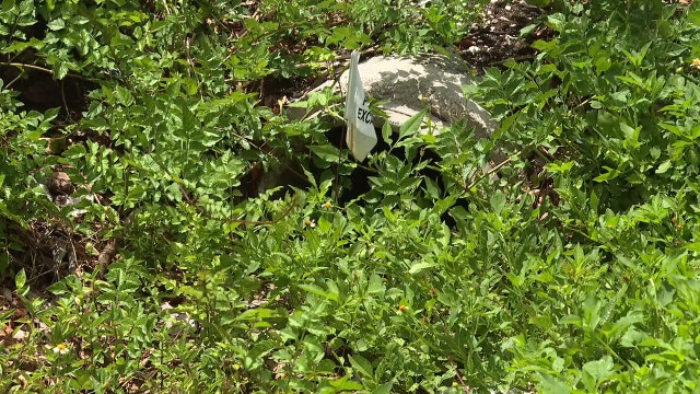 Resident frustration grows as Sarasota County explores new stormwater department