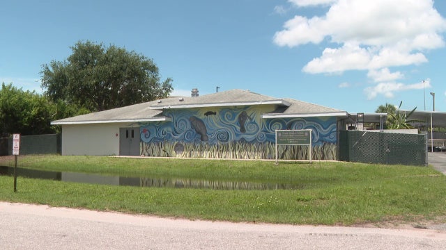 FWC marine mammal facility at Eckerd College to get $18M upgrade