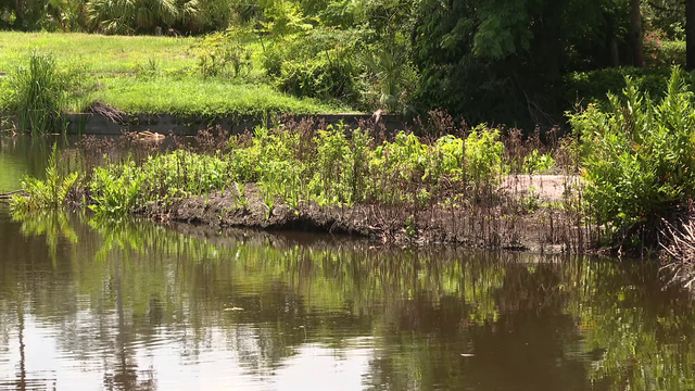 Sarasota County addresses Phillippi Creek concerns as residents brace for hurricane season