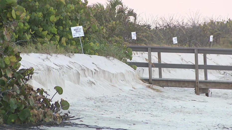 Sand dunes took a hard hit during last year's hurricanes.