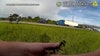 Video: Florida deputies rescue mother duck and ducklings after fluffy family tried to cross I-75