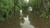 Florida reports four deaths from flesh-eating bacteria so far in 2025