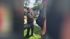 Video: Dozens of dogs rescued from 'hoarding situation,' Highlands County officials asking for help