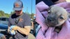 Puppy exposed to fentanyl revived with Narcan: LFD