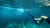 Tourist dies while snorkeling in Florida: MCSO