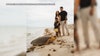 Photos: Florida family photobombed by loggerhead sea turtle