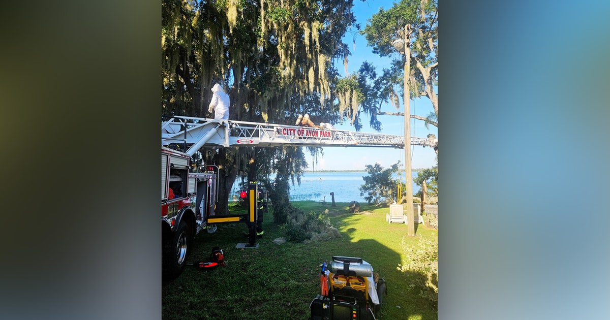 1 hospitalized in Highlands County bee attack: HCFR | FOX 13 Tampa Bay