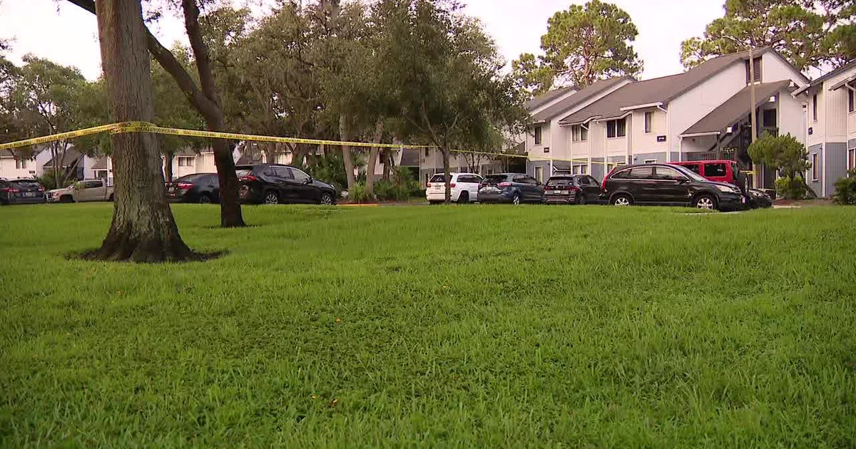 Man shot, killed at Palm Harbor apartment complex | FOX 13 Tampa Bay