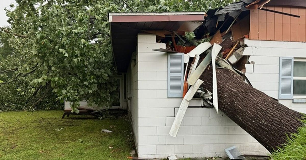 Severe storms leave behind damage after rolling through parts of Tampa ...