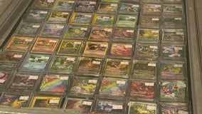 Cards and More Expo sees massive crowds at first Tampa event