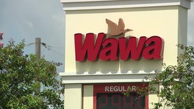 Man run over by box truck in Wawa parking lot: TPD