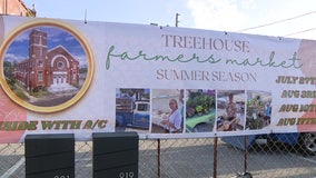 Historic Treehouse Sanctuary in St. Pete reopens with indoor farmers market, big dreams ahead