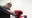 Tampa amateur boxer wins Masters' golden gloves national championship