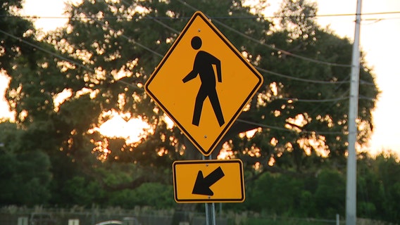 Winter Haven police issue warnings, citations during crosswalk enforcement operation