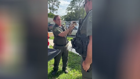 Video: Dozens of dogs rescued from 'hoarding situation,' Highlands County officials asking for help