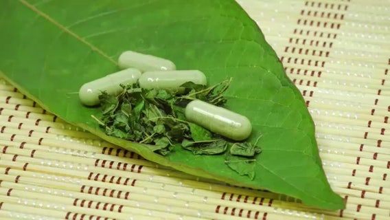 FDA targets 'legal morphine' kratom compound in push for regulation