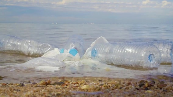 Florida gets failing grade in new plastic pollution report, calls for stronger action
