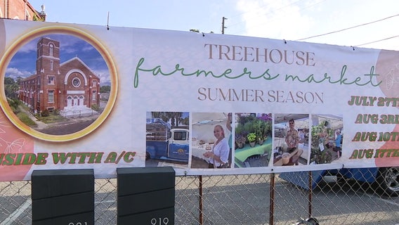 Historic Treehouse Sanctuary in St. Pete reopens with indoor farmers market, big dreams ahead