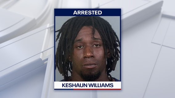 Florida man arrested for allegedly throwing cat against brick wall: Bradenton police