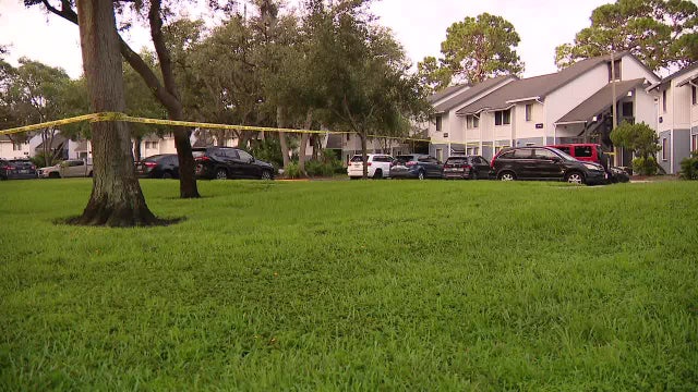 Man shot, killed at Palm Harbor apartment complex