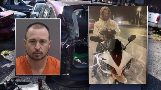 Man accused of hitting and killing a 19-year-old in Riverview pleads guilty