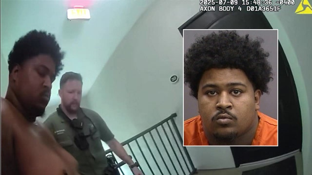 Video: Convicted felon arrested after hit-and-run crash in Riverview