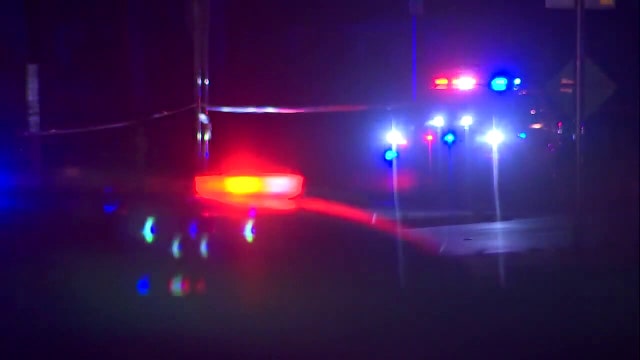 First-of-its-kind human trafficking study conducted in Florida, bringing hope for prevention and enforcement